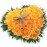 Yellow Roses Heart Shape Arrangement