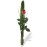 Single Rose