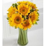 Endless Summer Sunflower -9 Stems