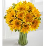 Endless Summer Sunflower -15 Stems