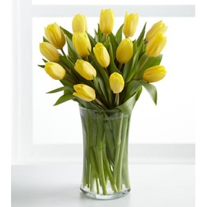 Sunshine's Promise Tulip - 12 Stems