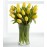 Sunshine's Promise Tulip - 12 Stems