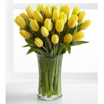 Sunshine's Promise Tulip - 18 Stems