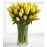 Sunshine's Promise Tulip - 18 Stems