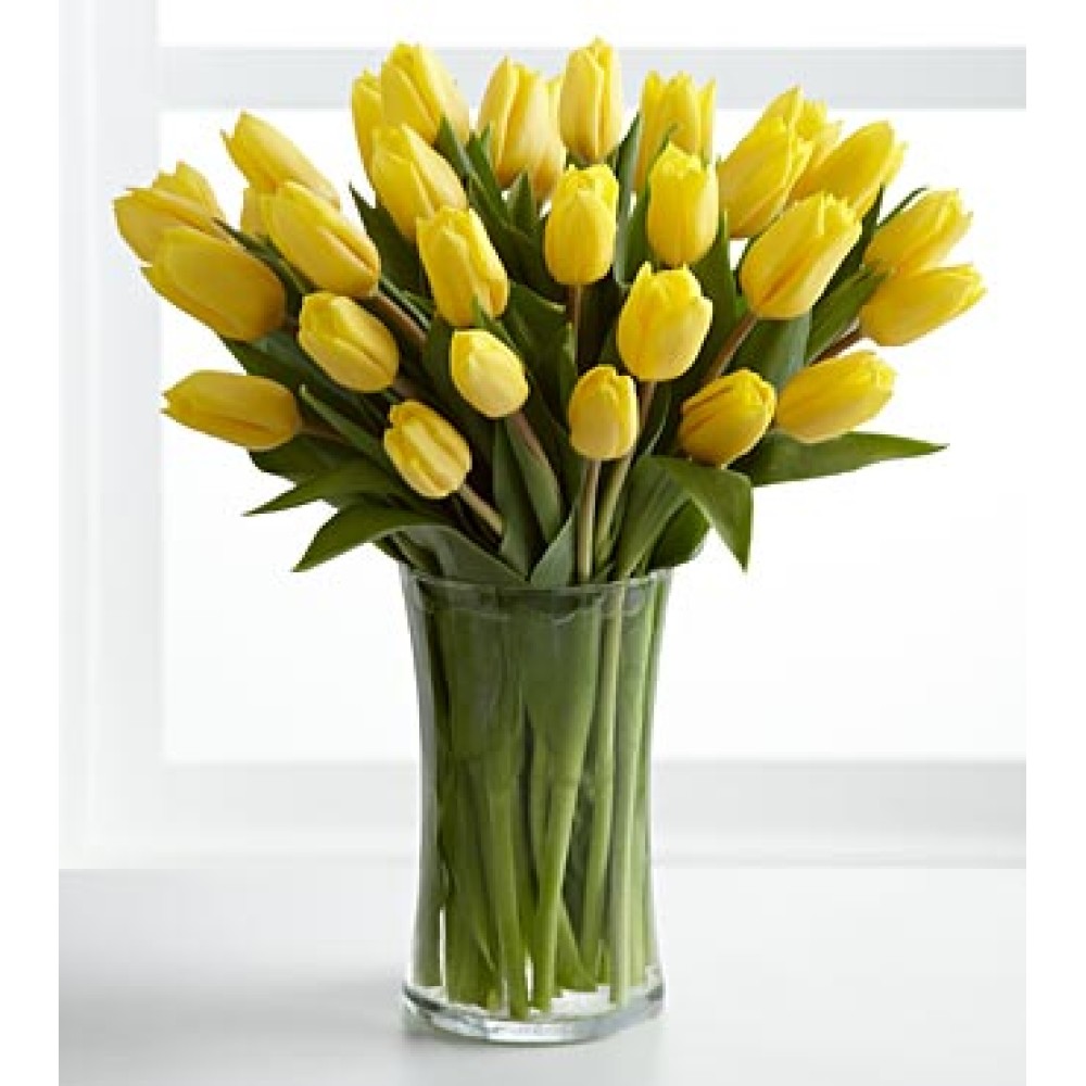 Sunshine's Promise Tulip - 24 Stems