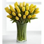 Sunshine's Promise Tulip - 24 Stems