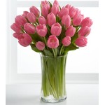 Pink Prelude Tulip Bouquet - 24 Stems 