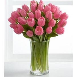 Pink Prelude Tulip Bouquet - 24 Stems 