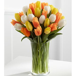 The Heat is On Summer  - 24 Stems 