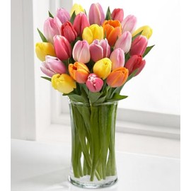 Rush of Color Assorted Tulip - 18 Stems