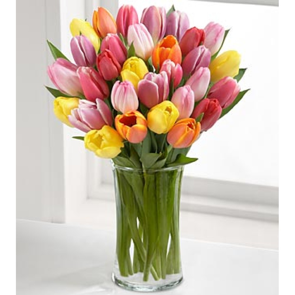 Rush of Color Assorted Tulip - 24 Stems