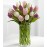 Painted Skies Tulip - 12 Stems