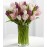 Painted Skies Tulip - 18 Stems
