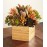 Succulent Garden
